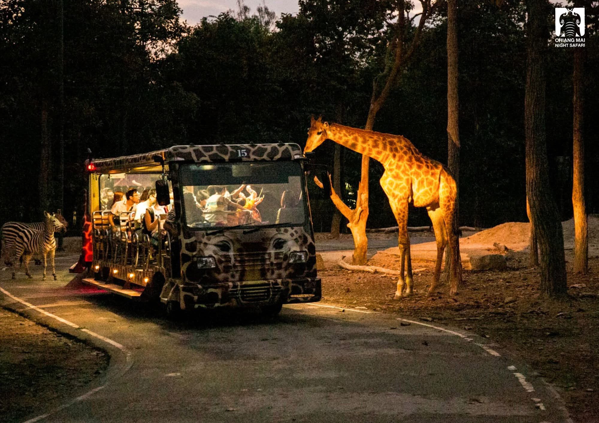 Chiang Mai Night Safari